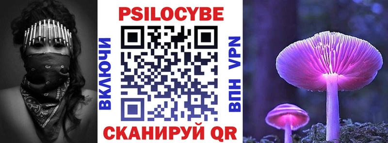 Купить Можга Псилоцибиновые грибы MAGIC MUSHROOMS